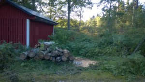 Vedhög